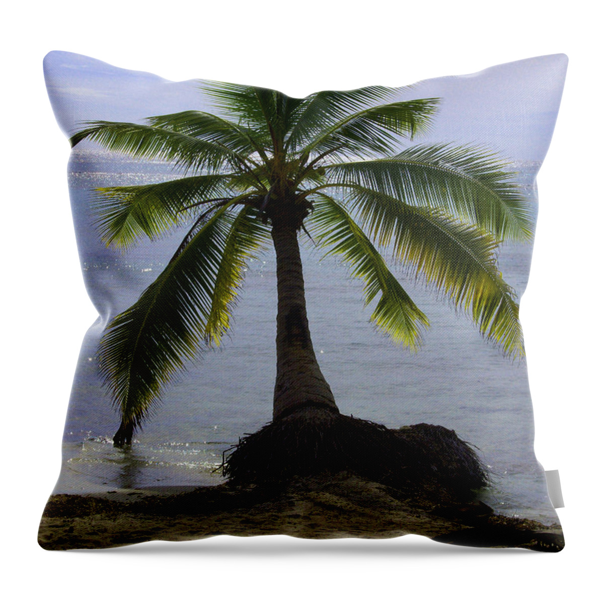 Palm Throw Pillow featuring the photograph Palm at the Edge of the Sea Number Two by Heather Kirk