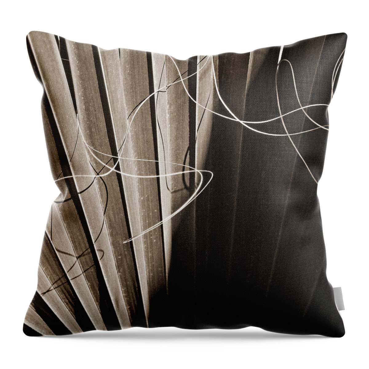 Palmetto Throw Pillow featuring the photograph Palm Frond BW Sepia Abstract by Connie Fox