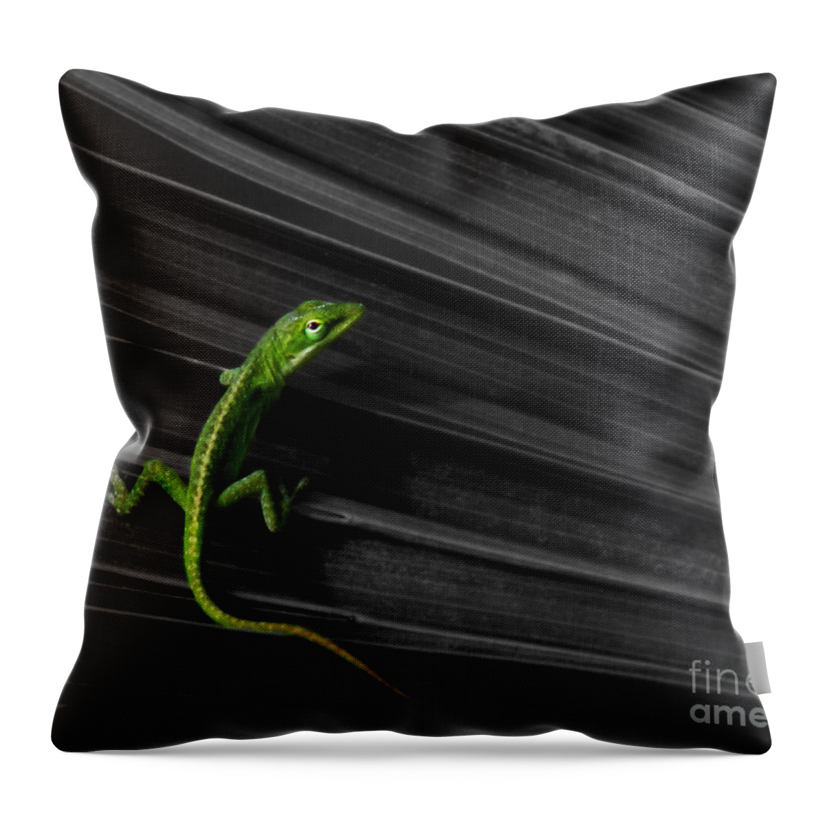 Anole Throw Pillow featuring the photograph Palm Leaf Lizard by Deborah Smith