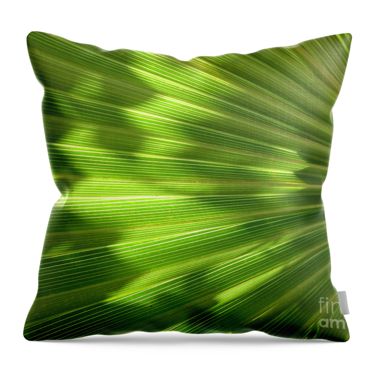  Throw Pillow featuring the photograph Palm Leaf by Nora Boghossian