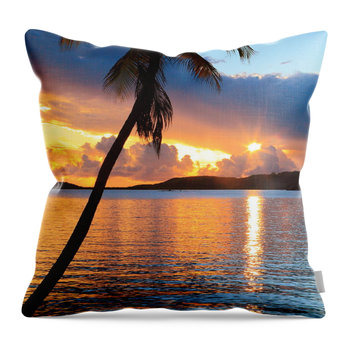 Palm Tree Throw Pillow featuring the photograph Palm Tree and Tropical Sunset by Roupen Baker