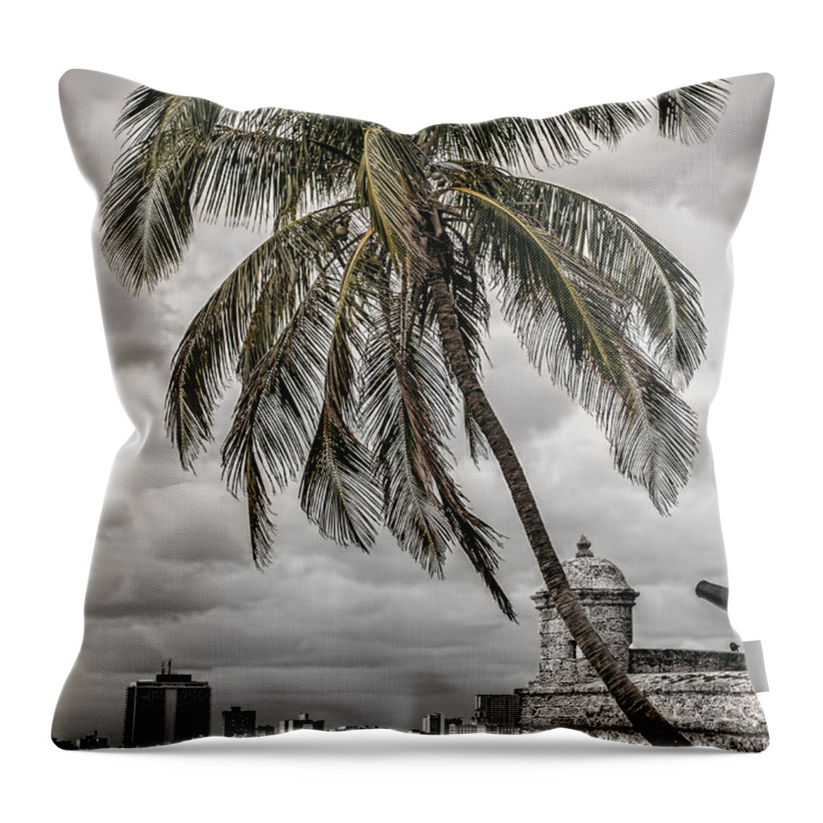 Havana Bay Throw Pillow featuring the photograph Palm tree in Havana bay by Jose Rey