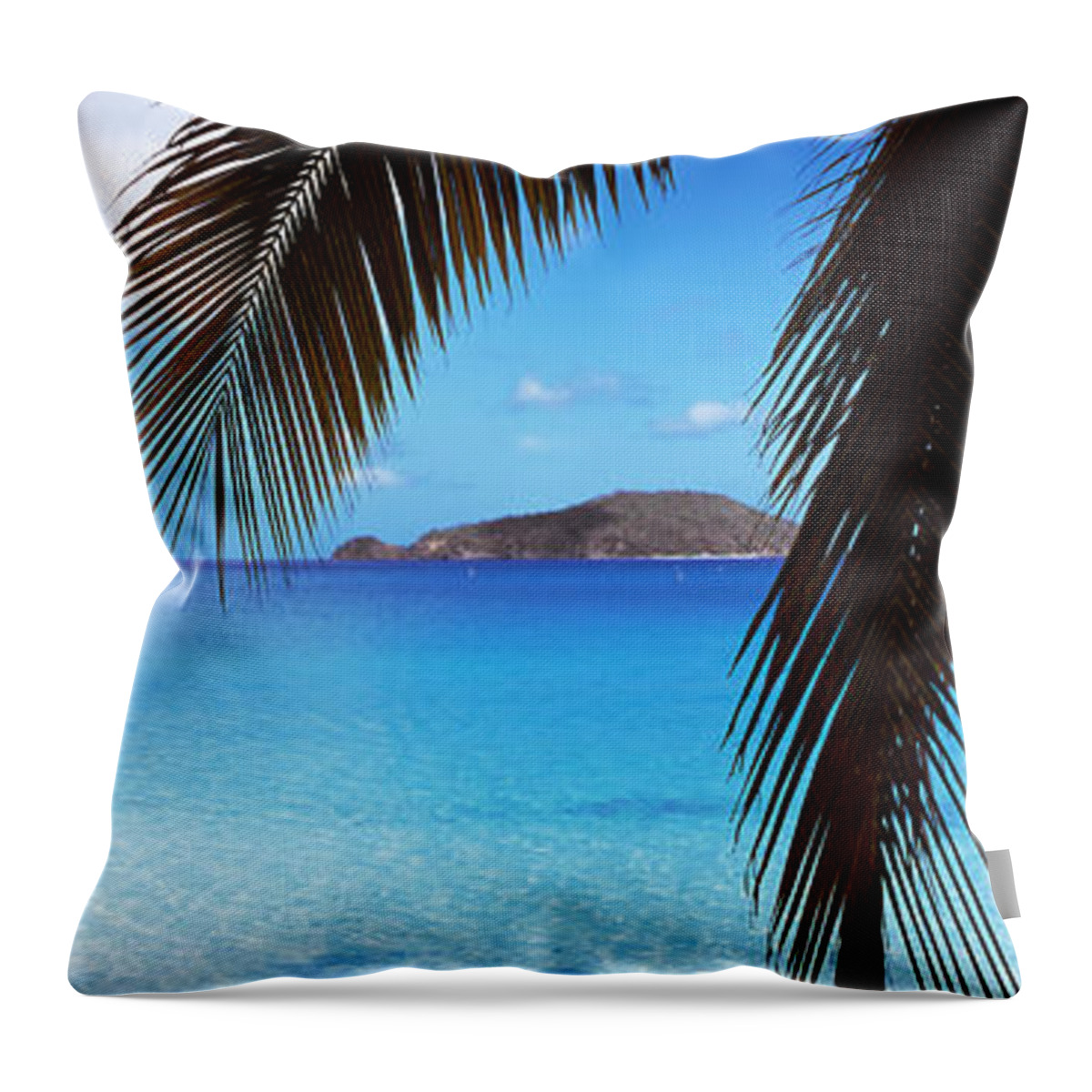 Photography Throw Pillow featuring the photograph Palm Tree On The Beach, Maho Bay by Panoramic Images