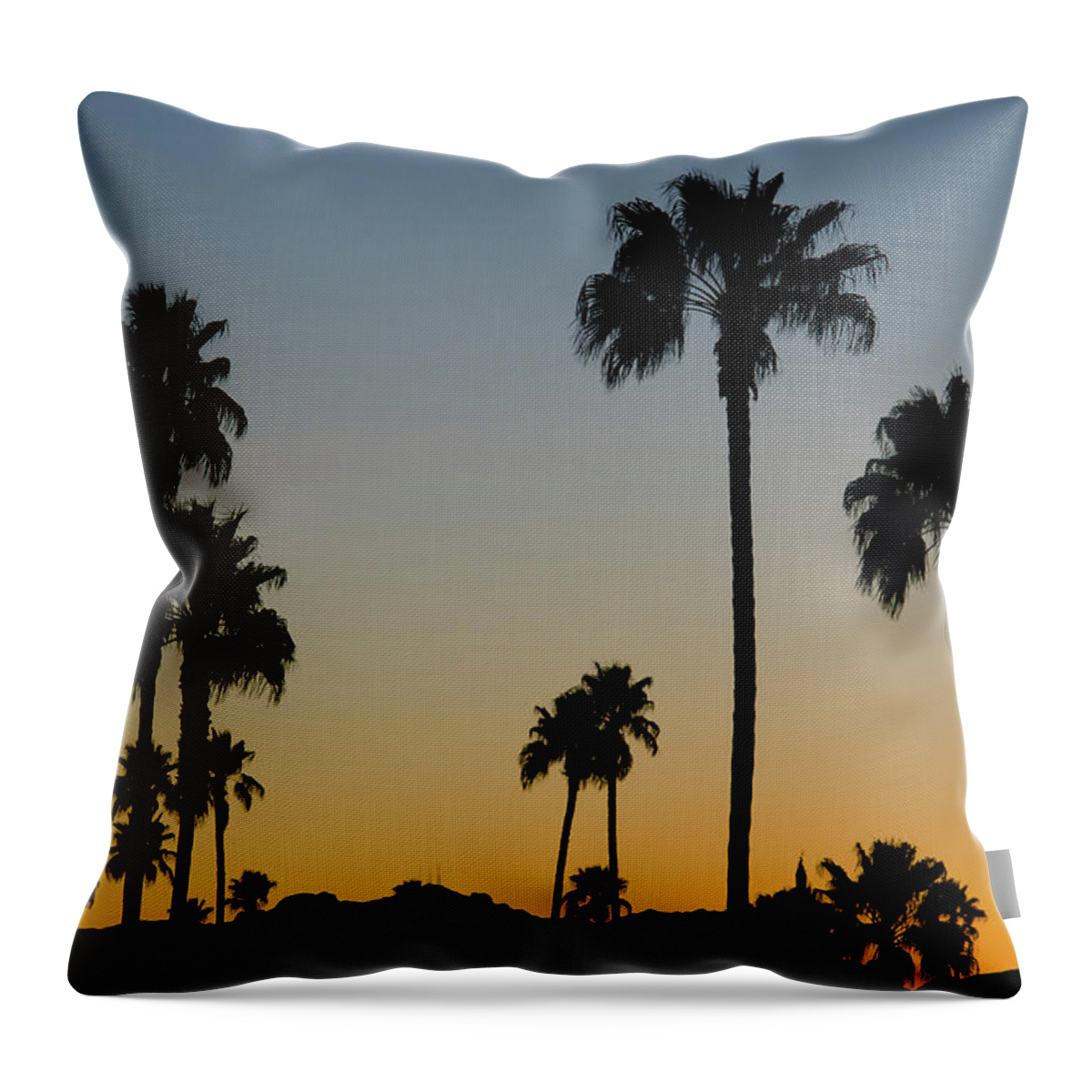 Scenics Throw Pillow featuring the photograph Palm Trees At Sunset by Chapin31