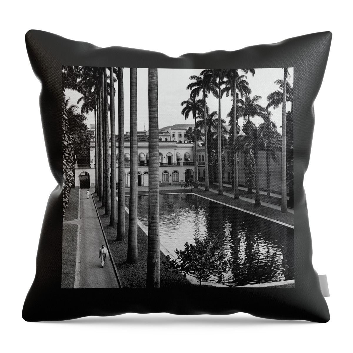 Palm Trees Bordering A Pool Throw Pillow
