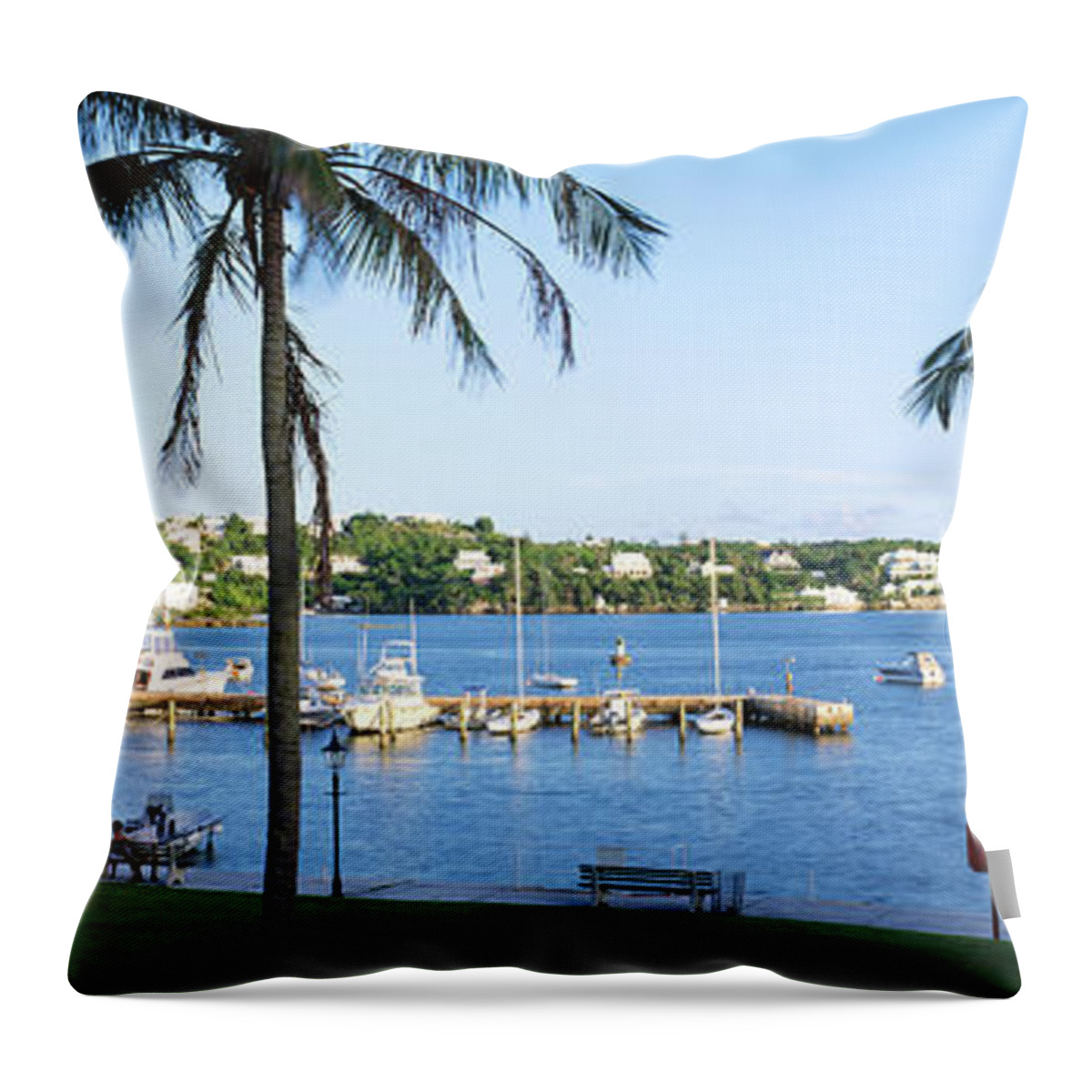 Photography Throw Pillow featuring the photograph Palm Trees On The Coast, Barrs Bay by Panoramic Images