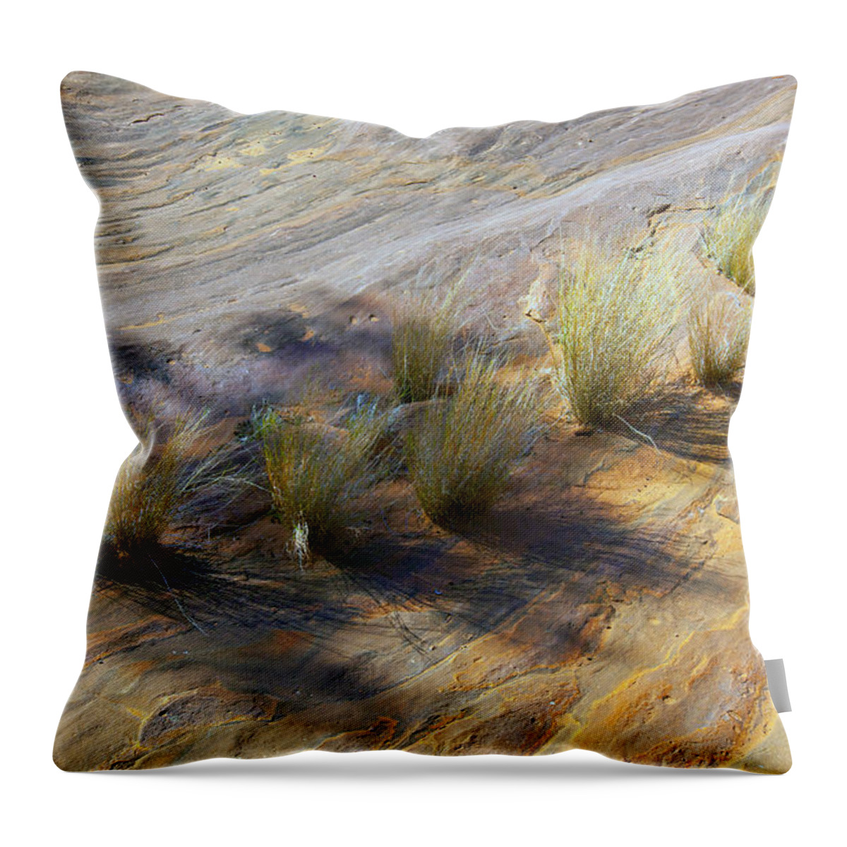 Palm Valley Central Australia Landscape Outback Australian Throw Pillow featuring the photograph Palm Valley Rock Textures by Bill Robinson