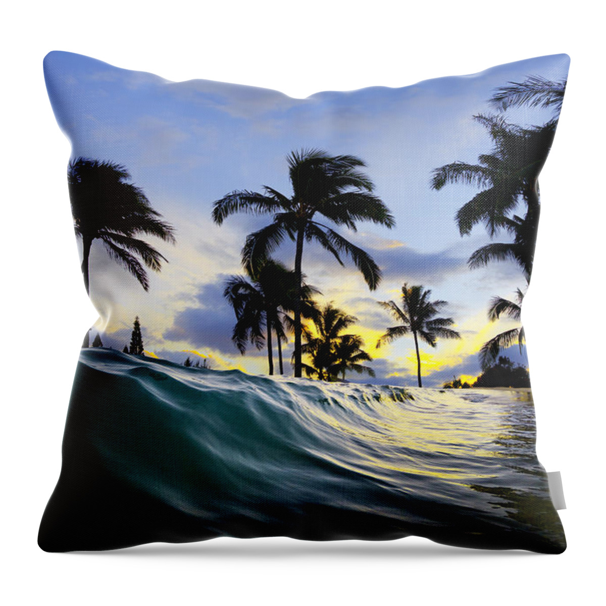 Palm Tree Throw Pillow featuring the photograph Palm wave by Sean Davey