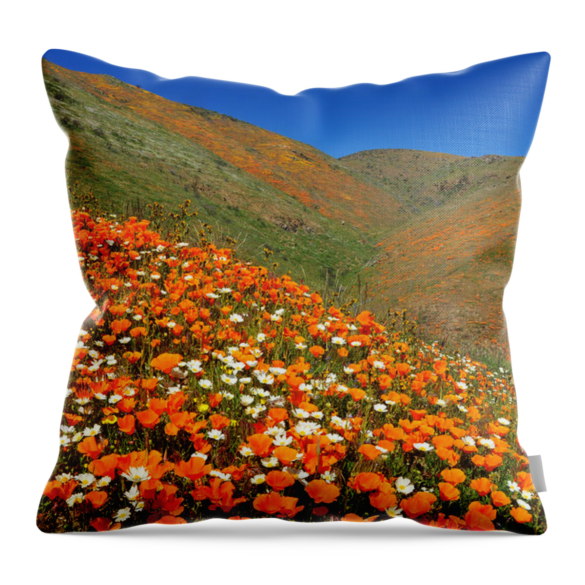 Spring Throw Pillow featuring the photograph Palmdale Poppies by Lynn Bauer