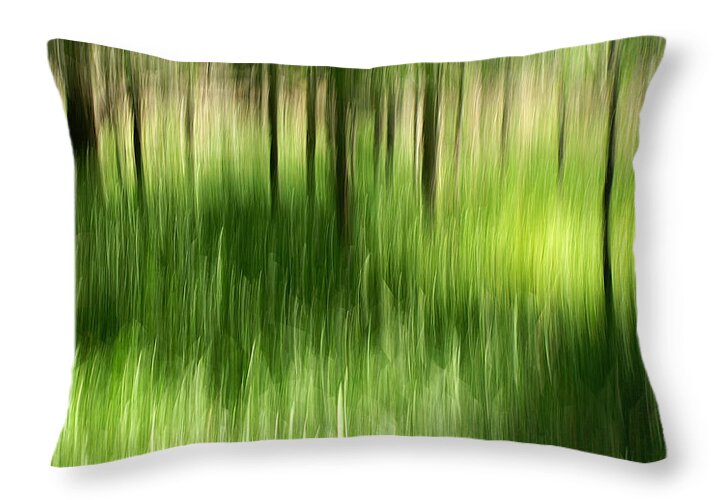 Palmetto State Park Throw Pillow featuring the photograph Palmetto Spring by Bill Morgenstern