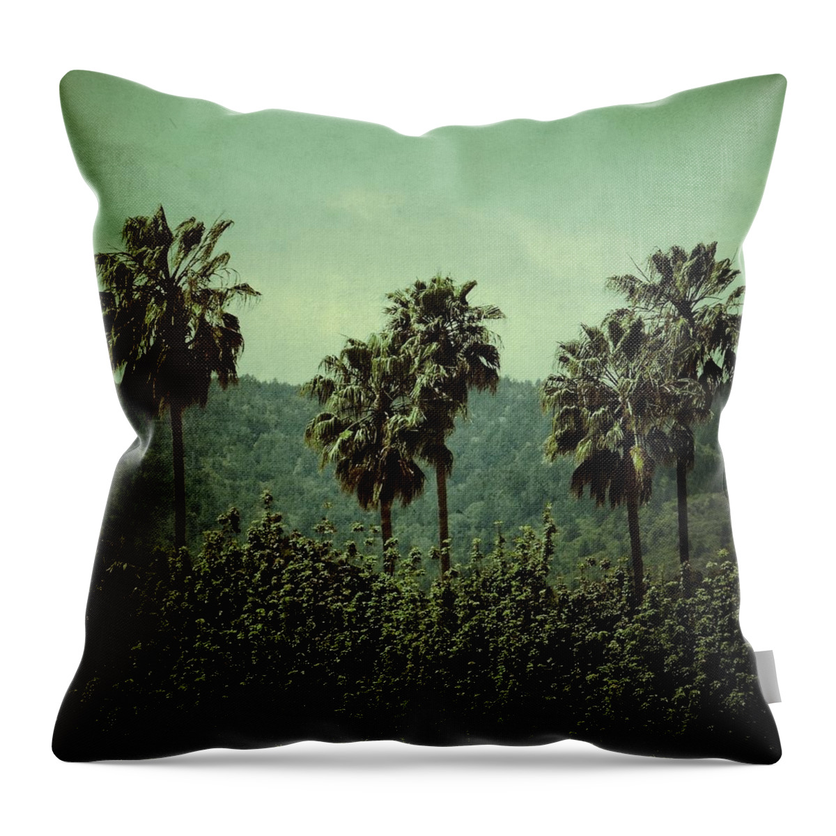 Palm Trees Throw Pillow featuring the photograph Palms by Anne Thurston