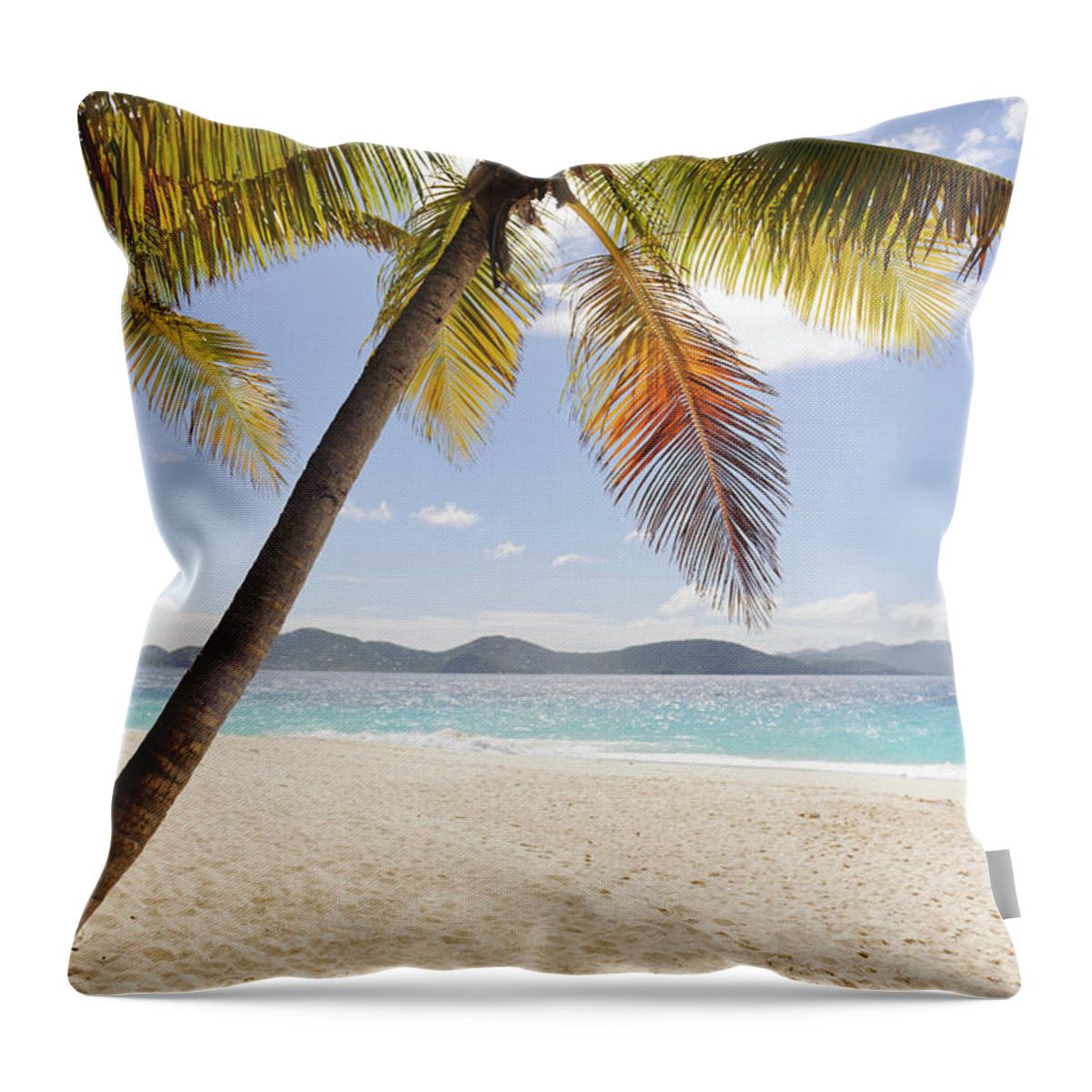 Tranquility Throw Pillow featuring the photograph Palms Over Sandy Beach by Johner Images