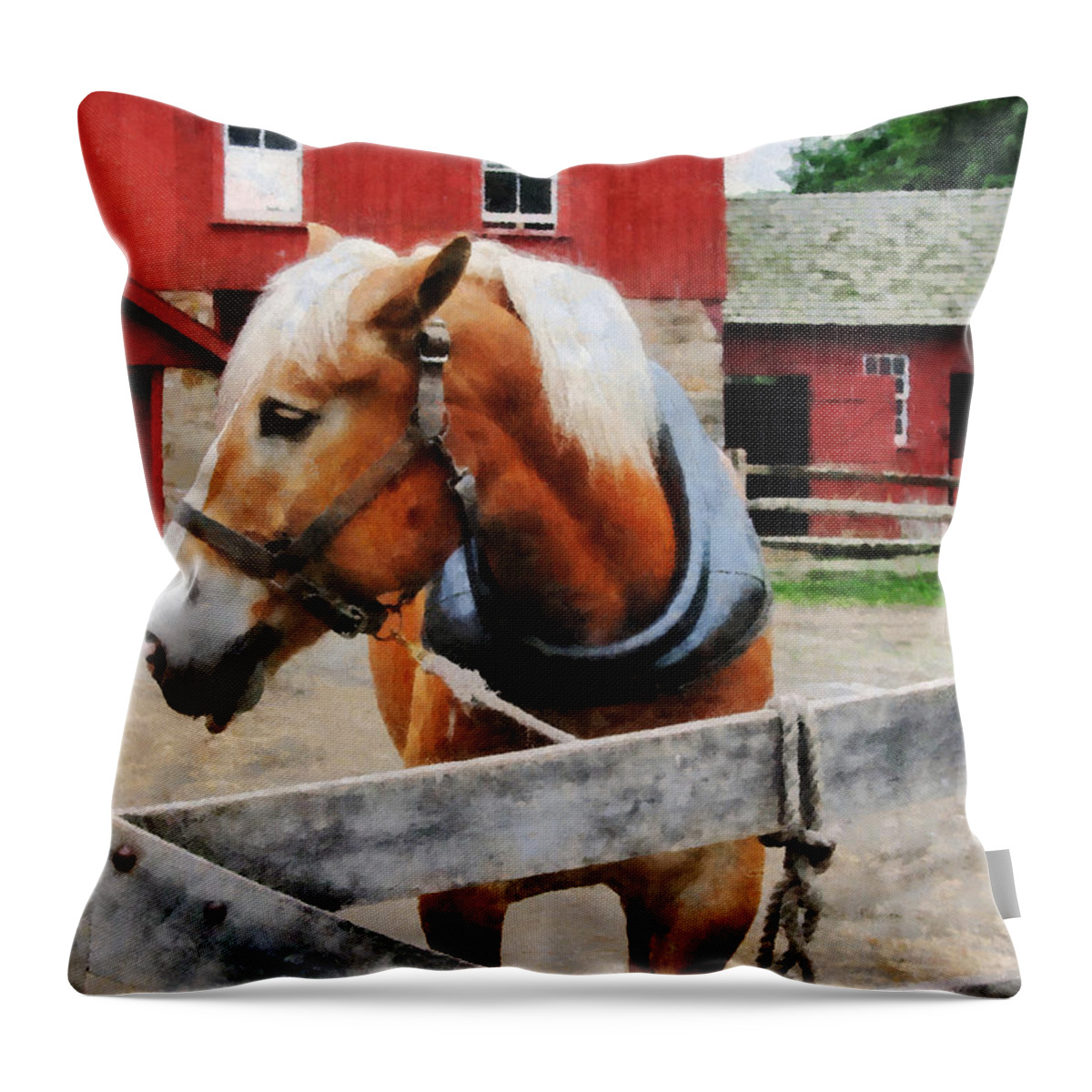 Horse Throw Pillow featuring the photograph Palomino By Red Barn by Susan Savad