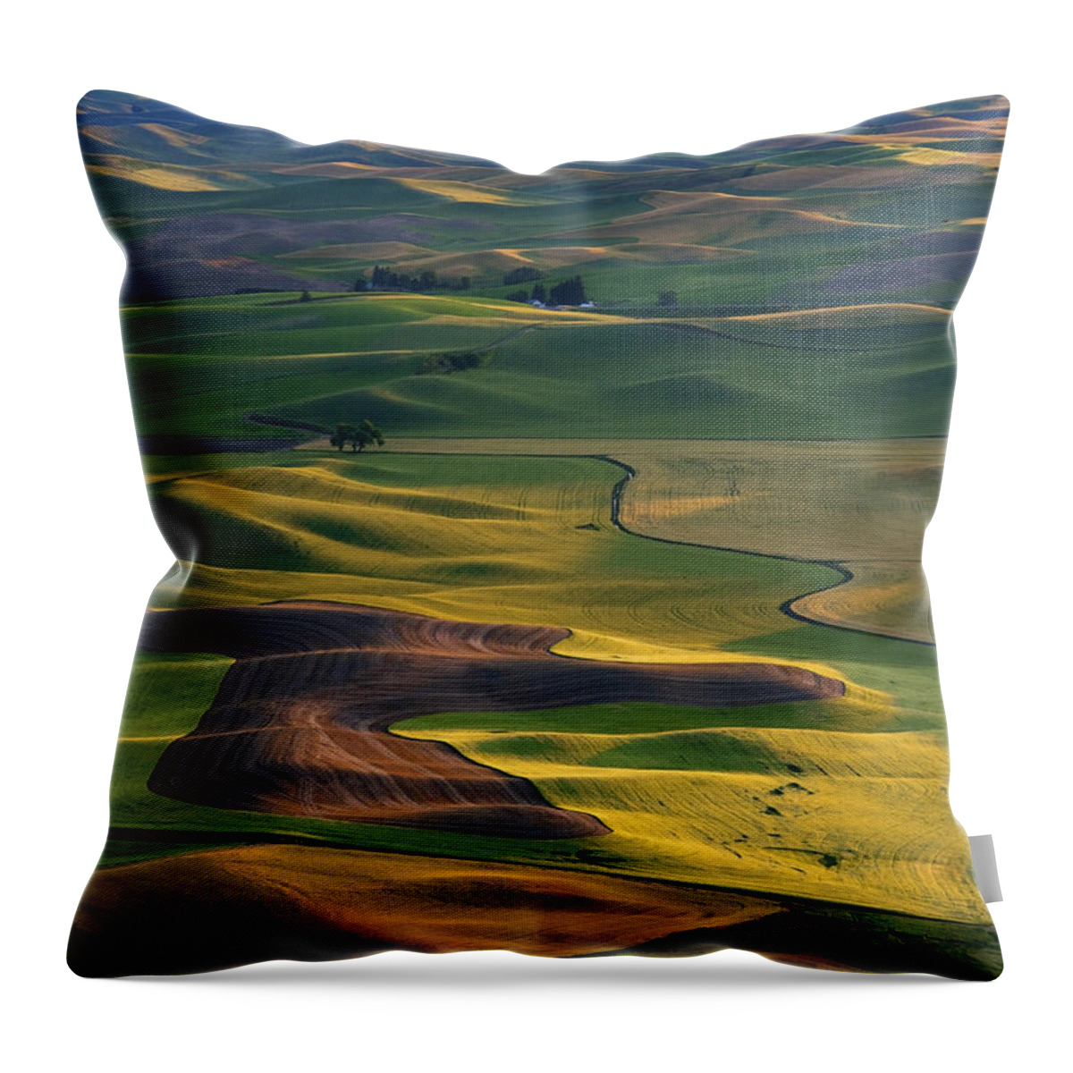 Palouse Throw Pillow featuring the photograph Palouse Shadows by Michael Dawson