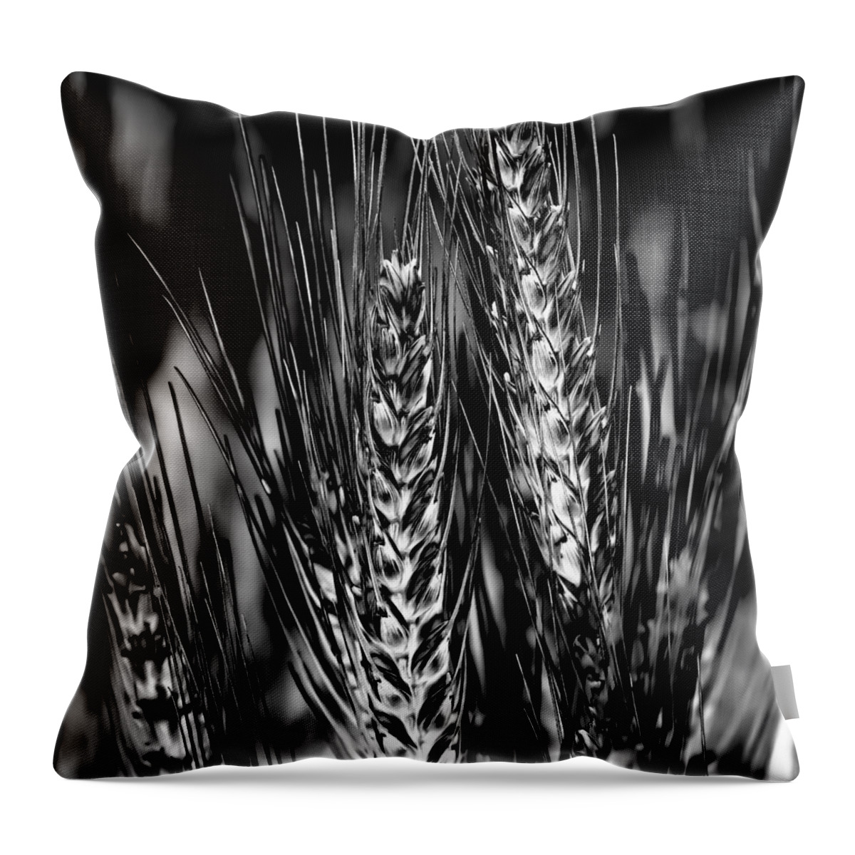 Wheat Throw Pillow featuring the photograph Palouse Wheat by David Patterson