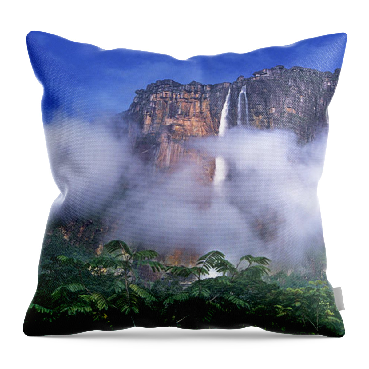 South America Throw Pillow featuring the photograph Panorama Angel Falls Canaima National Park Veneziuela by Dave Welling