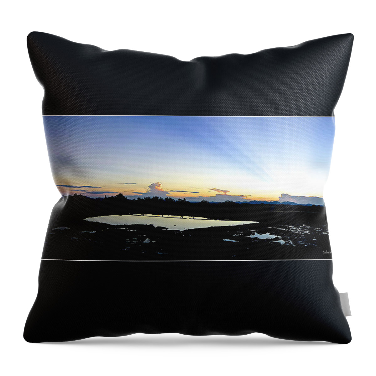 Sunset Throw Pillow featuring the photograph Panorama Sunset by Barbara Zahno