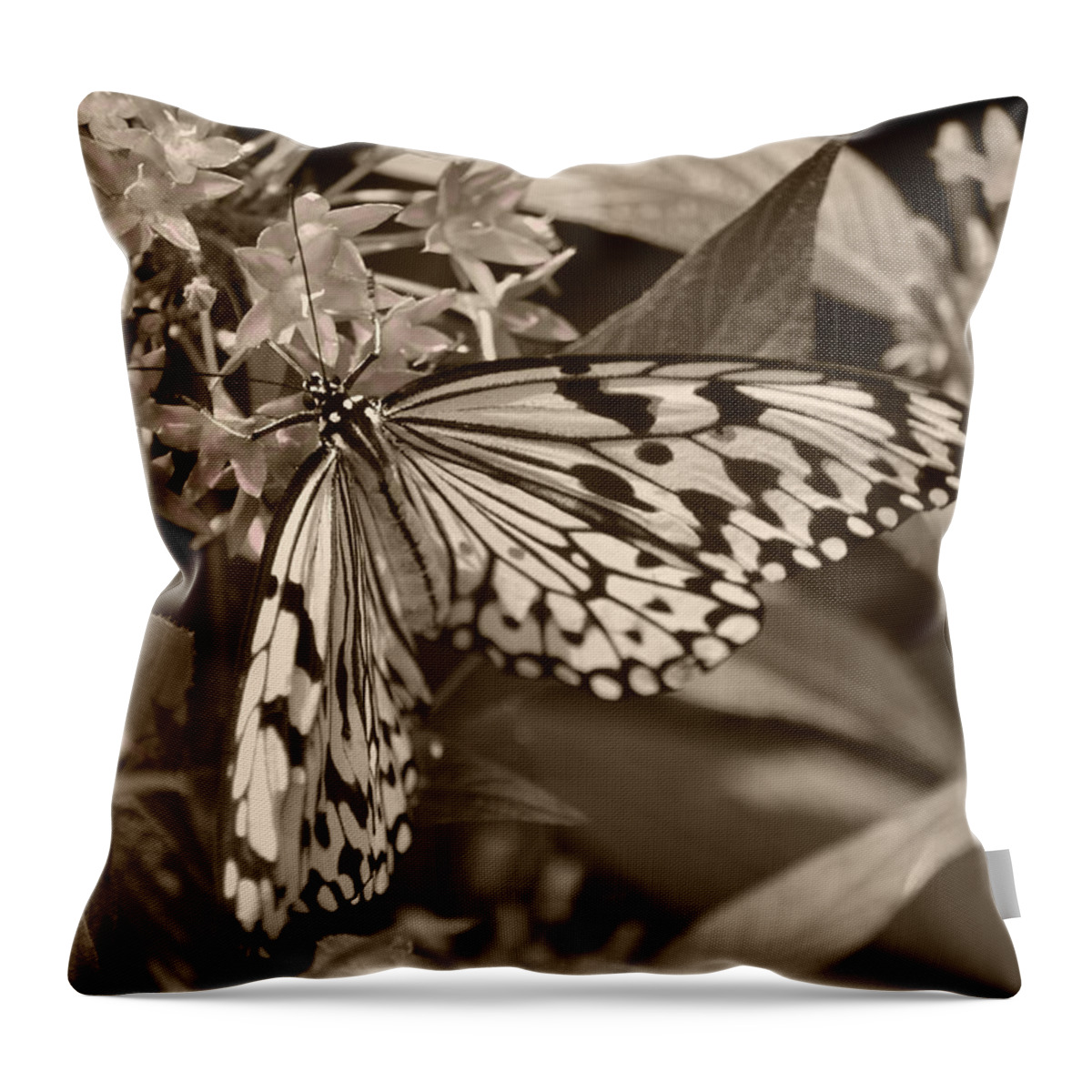 Paper Kite Throw Pillow featuring the photograph Paper Kite On Frangipani Flowers by Sandi OReilly