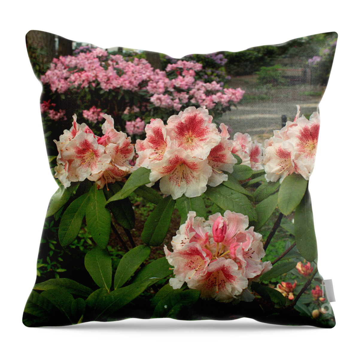Rhododendrons Throw Pillow featuring the photograph Paprika Spiced by Chris Anderson