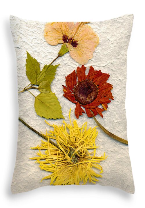  Throw Pillow featuring the photograph Papyrus3 by Matthew Pace