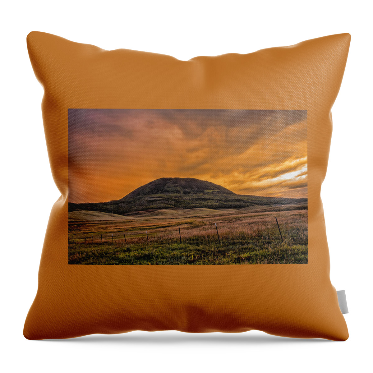 Paradise On Elk Mountain Meadow Throw Pillow featuring the photograph Paradise on Elk Mountain Meadows by Daniel Hebard