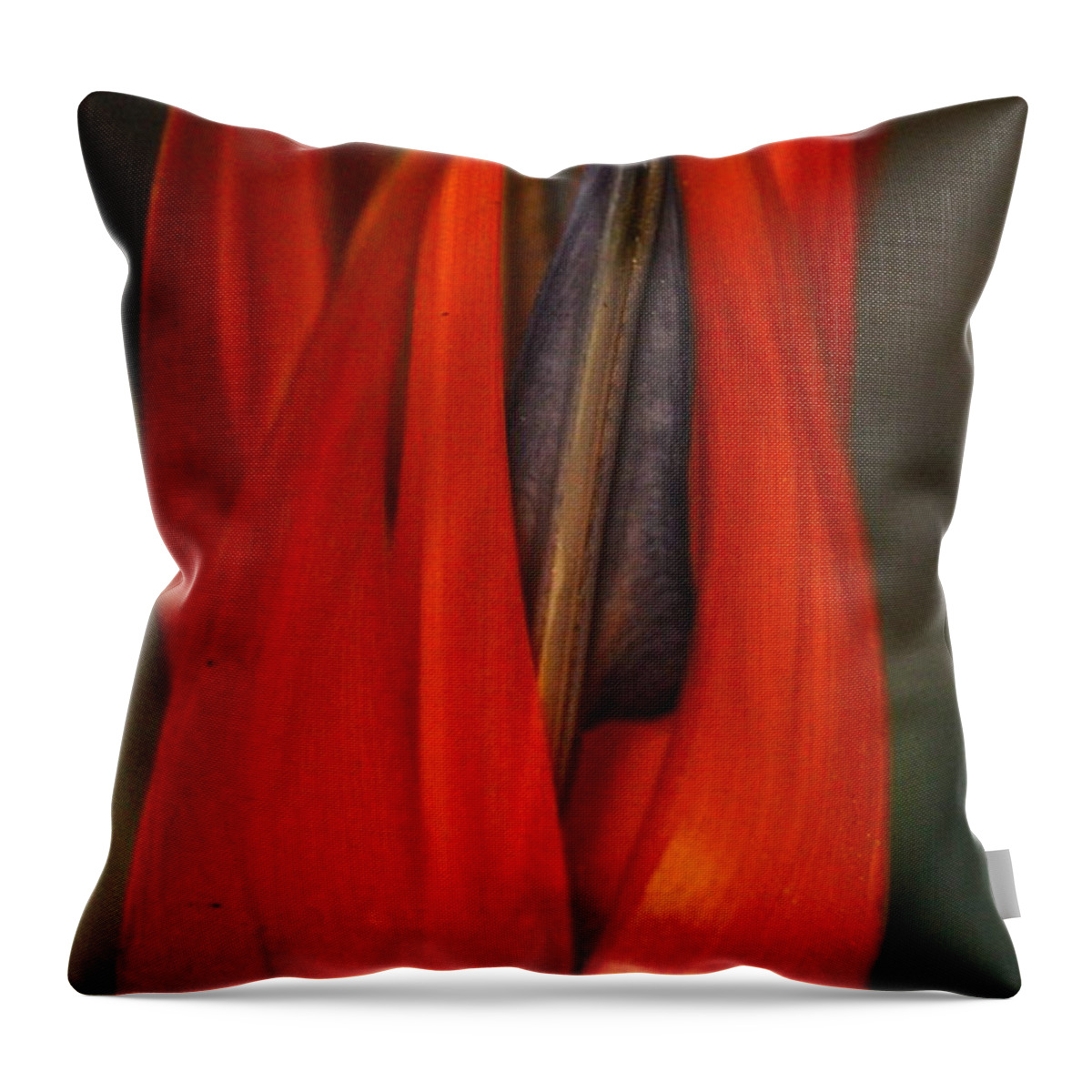 Flower Throw Pillow featuring the photograph Paradise on Fire by Michael Cinnamond