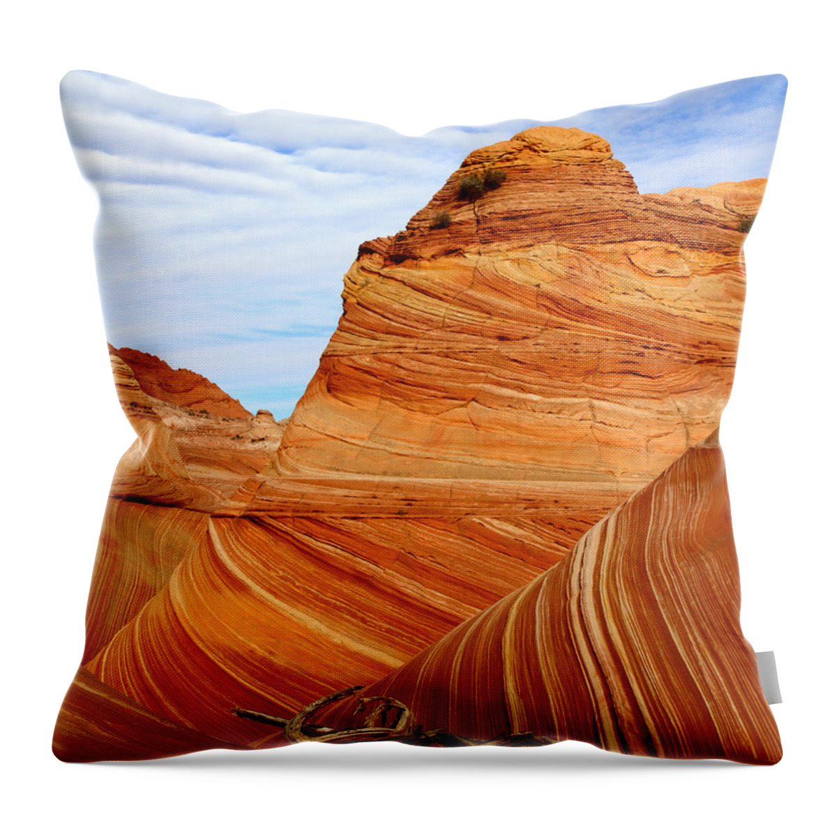 Colorado Plateau Throw Pillow featuring the photograph Petrified Sand Dunes by Ed Riche