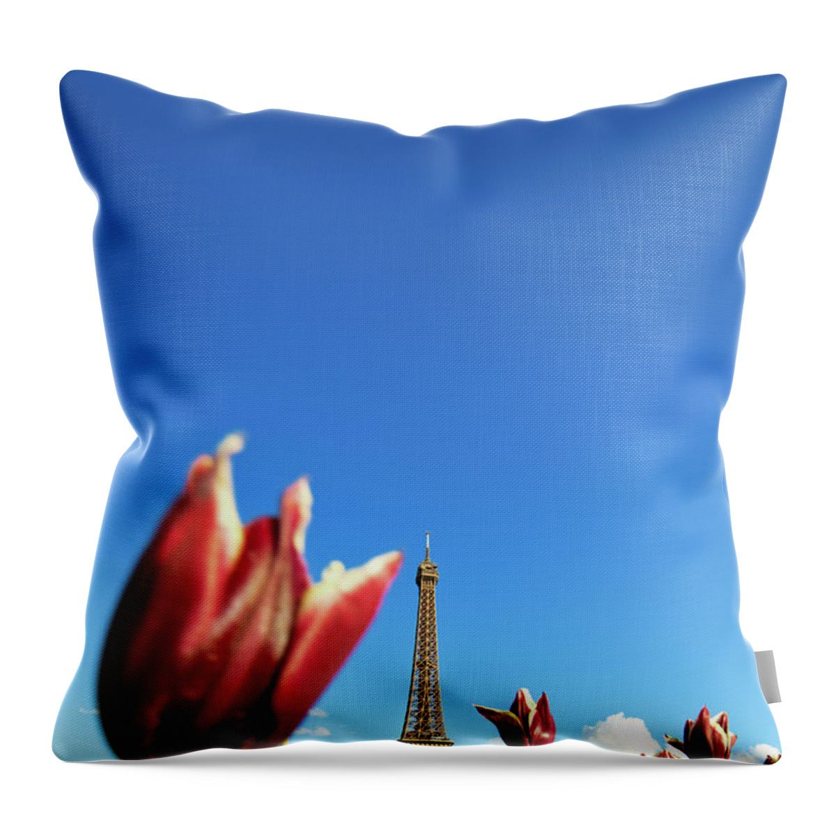 Scenics Throw Pillow featuring the photograph Paris In Spring by Nikada