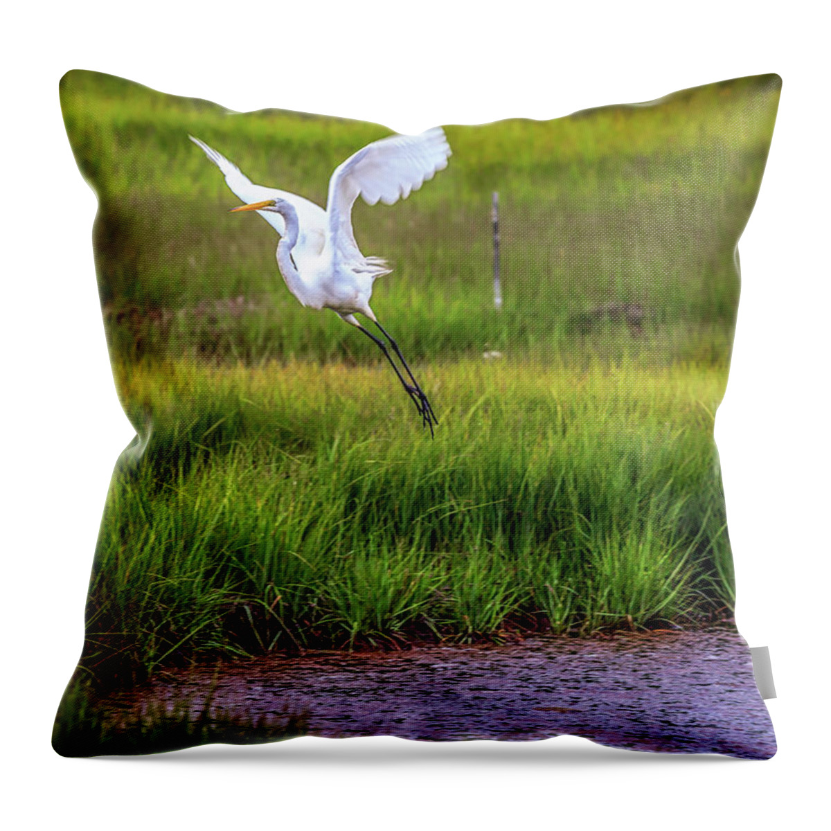 Grass Throw Pillow featuring the photograph Parker National Wildlife Refuge by (c) Swapan Jha