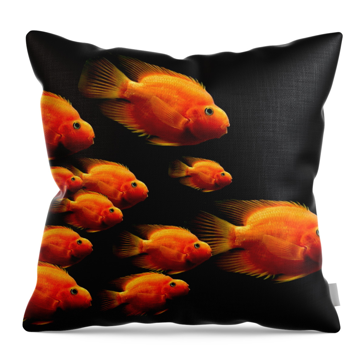 Fish Throw Pillow featuring the photograph Parrot Fish by Heike Hultsch