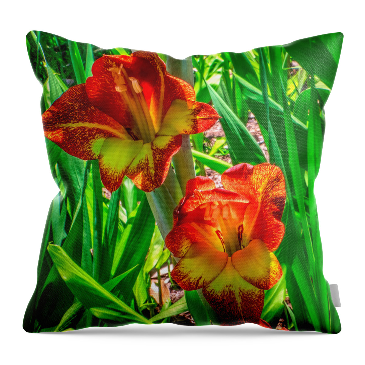 Flower Throw Pillow featuring the photograph Parrot Gladiolus by Traveler's Pics