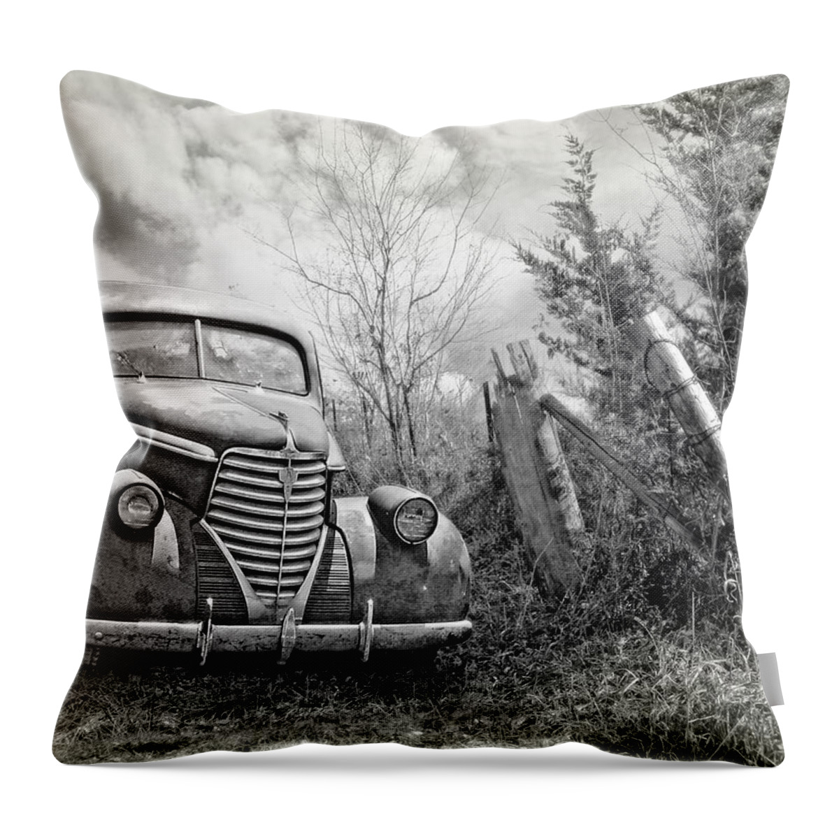 Vintage Throw Pillow featuring the photograph Part of the Landscape by John Anderson