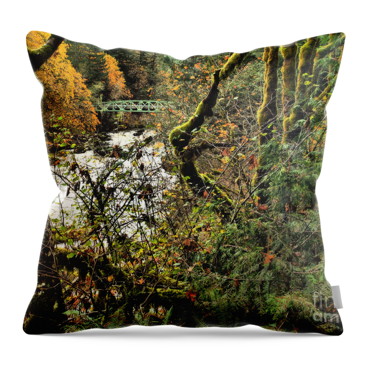 Bridge Throw Pillow featuring the photograph Passage by Parrish Todd