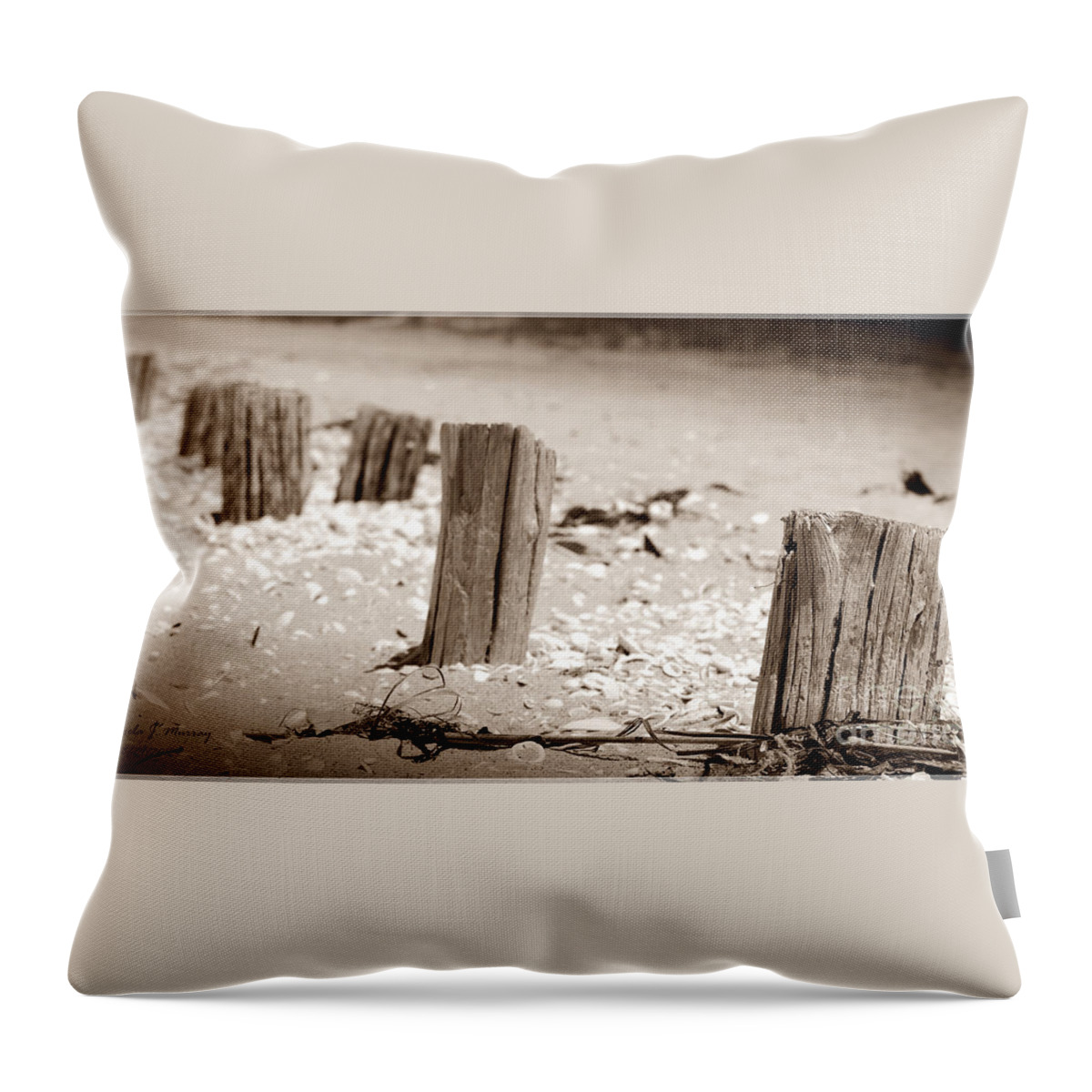 Beach Post Throw Pillow featuring the photograph Passages by Angela Murray