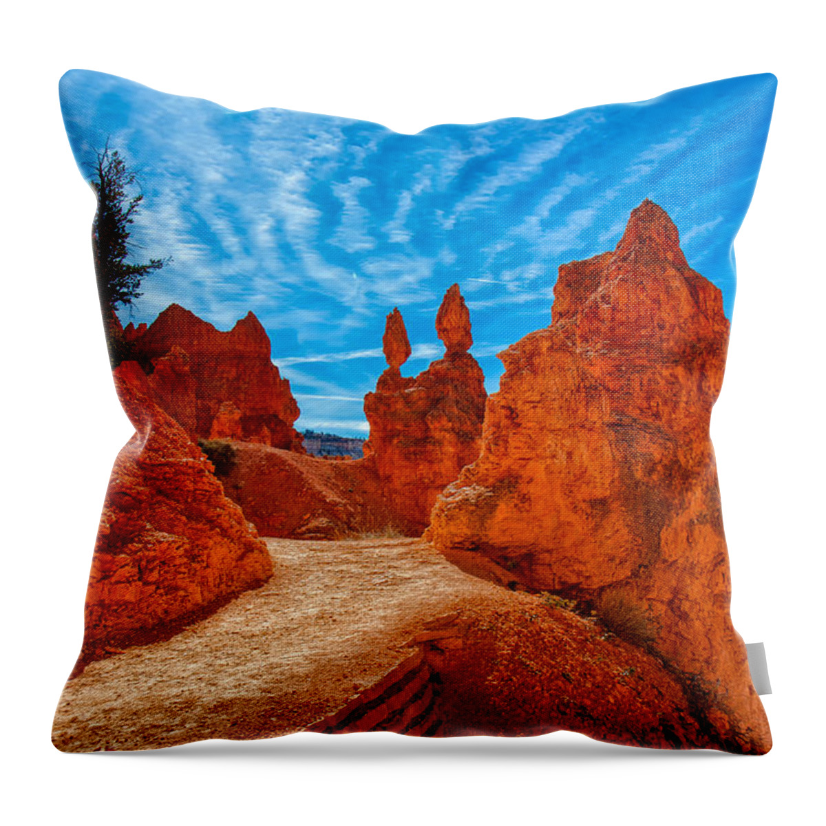 Landscape Throw Pillow featuring the photograph Passages by John M Bailey