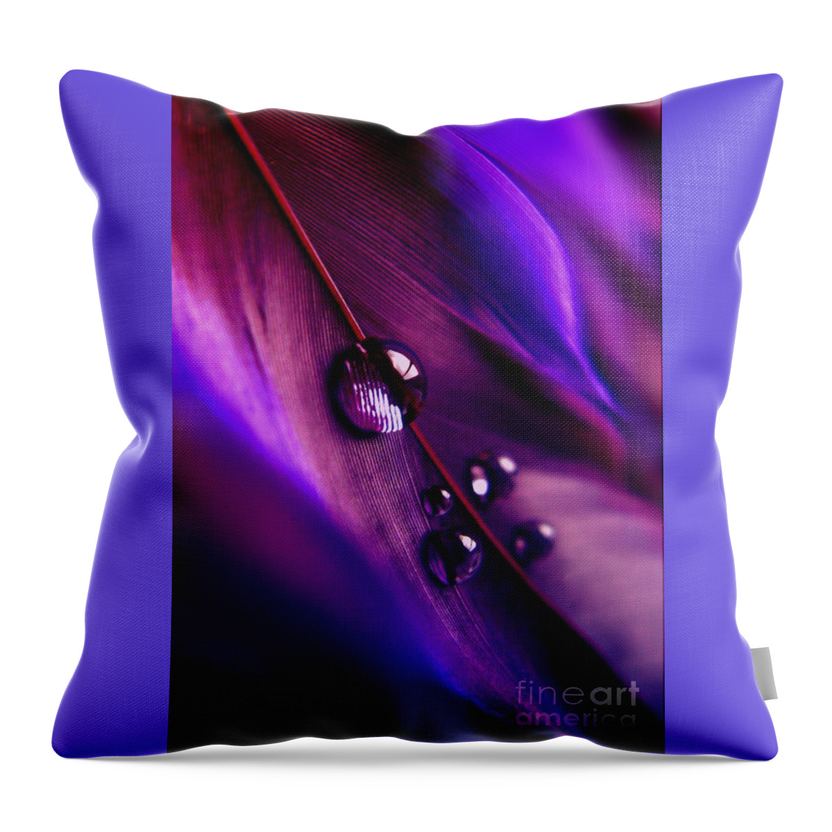 Feather Throw Pillow featuring the photograph Treasures Within by Krissy Katsimbras