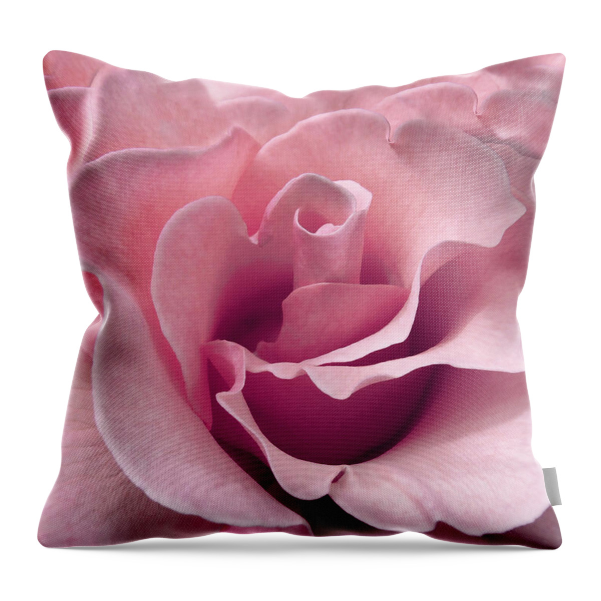 Rose Throw Pillow featuring the photograph Passion Pink Rose Flower by Jennie Marie Schell