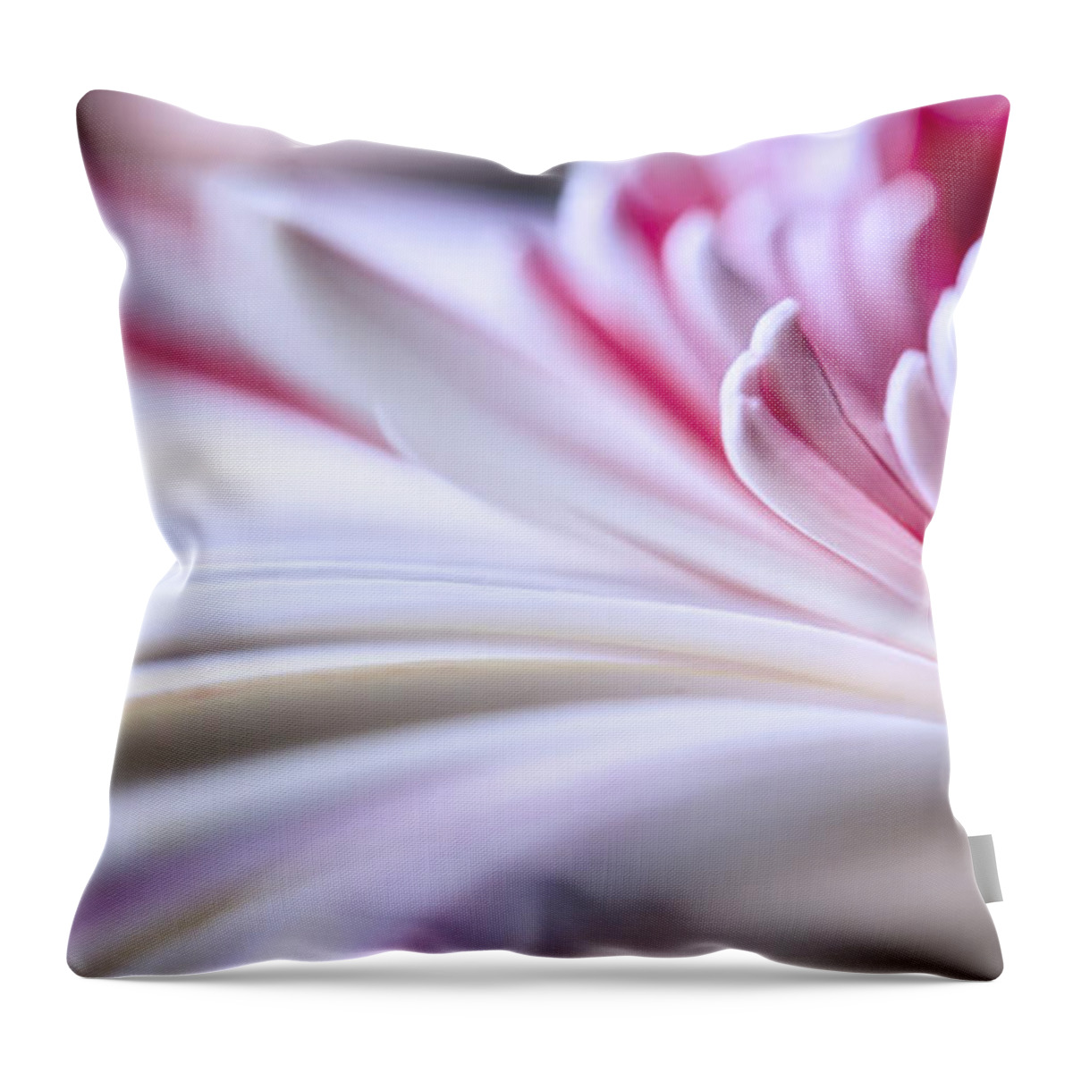 3scape Throw Pillow featuring the photograph Pastel Gerbera by Adam Romanowicz
