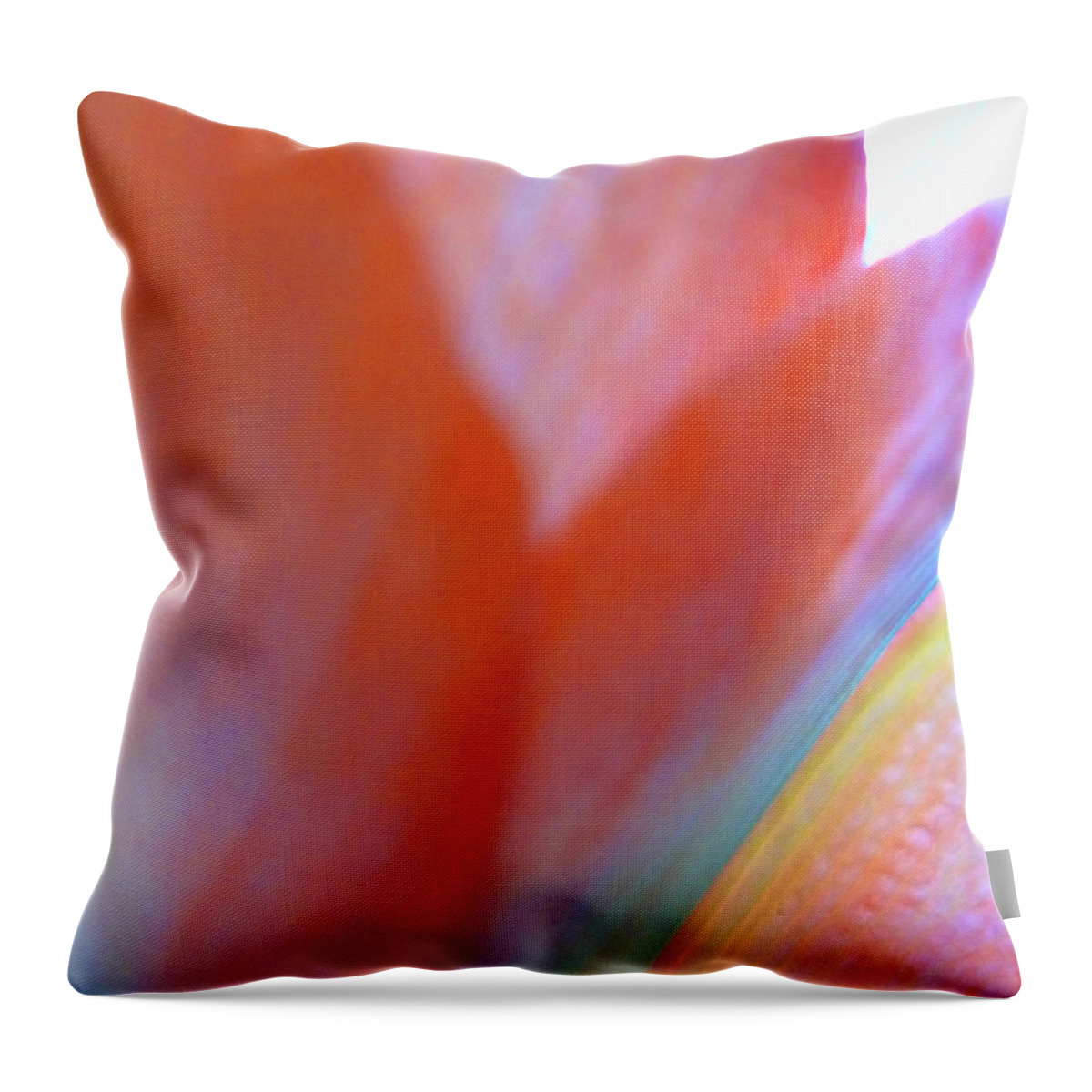 Throw Pillow featuring the photograph Pastel Petals by Joseph Hedaya