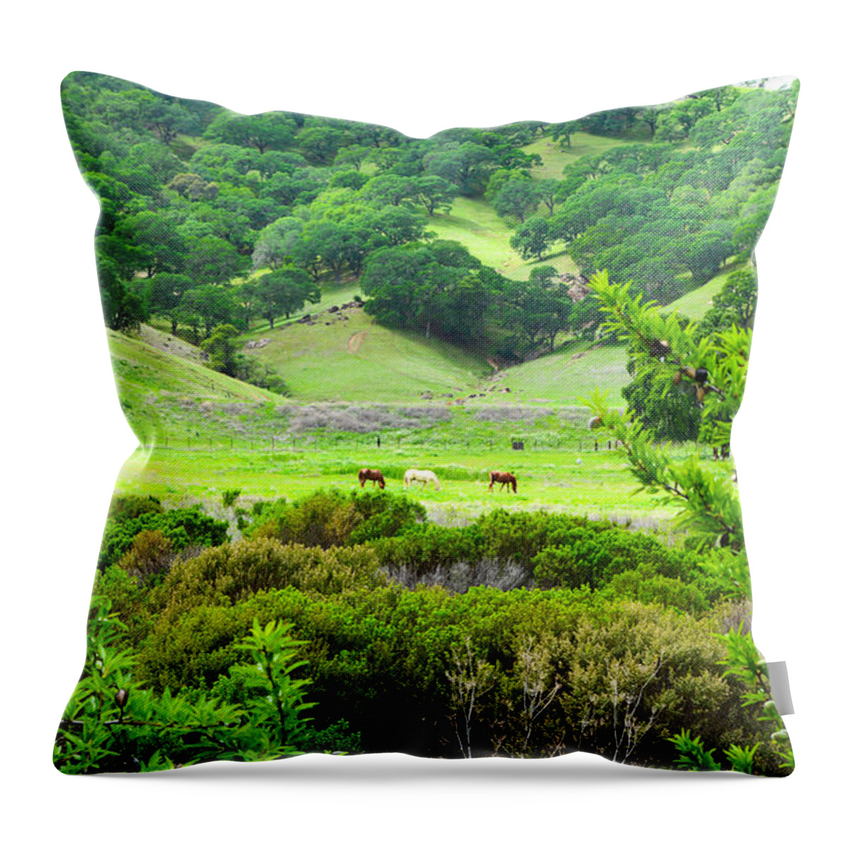 Landscape Throw Pillow featuring the photograph Pastoral Peace by Brian Tada