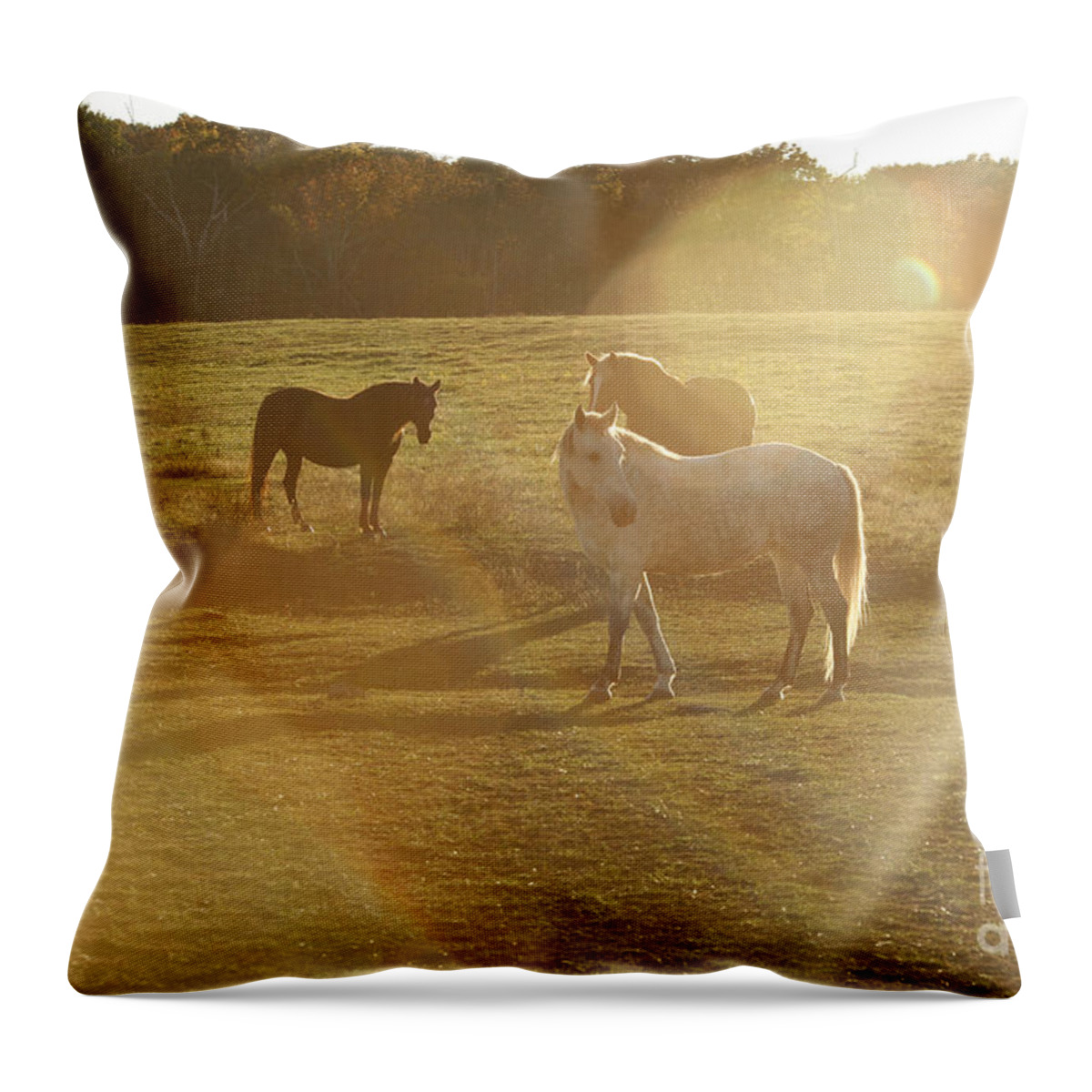 Horses Throw Pillow featuring the photograph Pasture Aliens by Carol Lynn Coronios