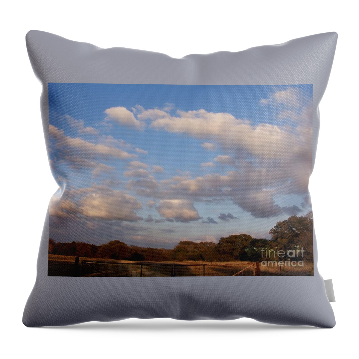 Landscape Throw Pillow featuring the photograph Pasture Clouds by Susan Williams
