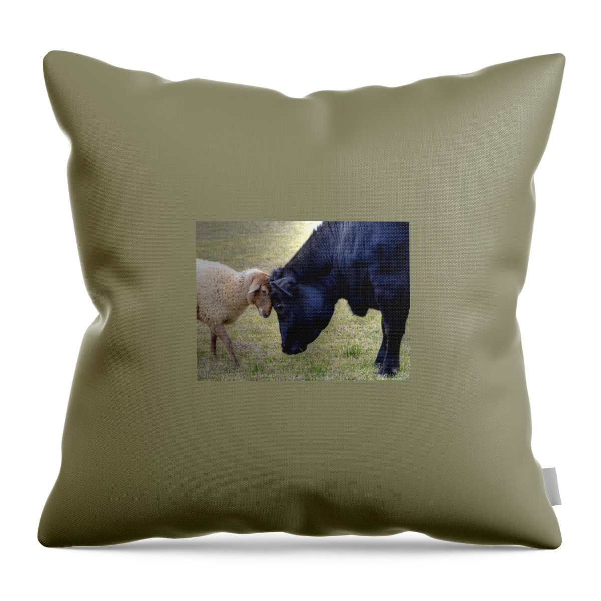 Sheep Throw Pillow featuring the photograph Pasture Pals by Charlotte Schafer