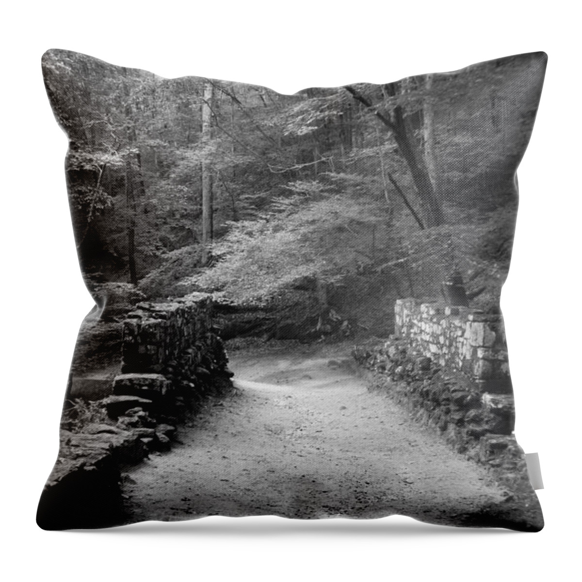 Kelly Hazel Throw Pillow featuring the photograph Path in Black and White by Kelly Hazel