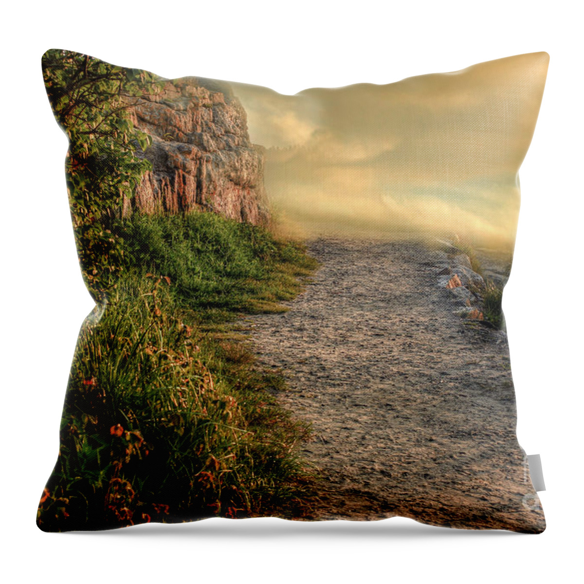 Enchantment Throw Pillow featuring the photograph Path of Enchantment by Brenda Giasson