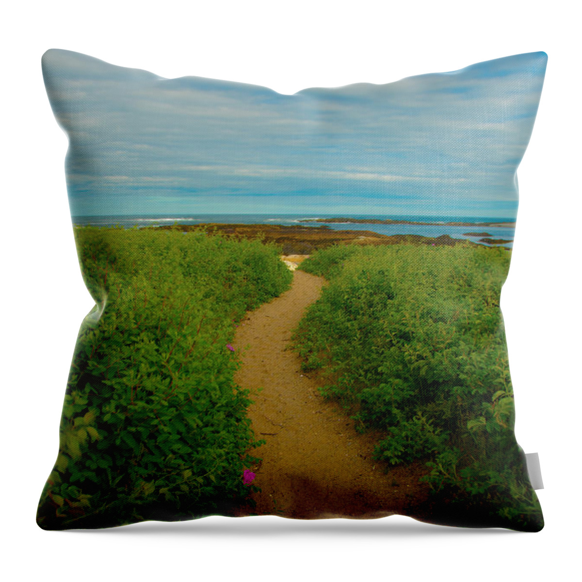 Biddeford Throw Pillow featuring the photograph Path to Blue by Brenda Jacobs