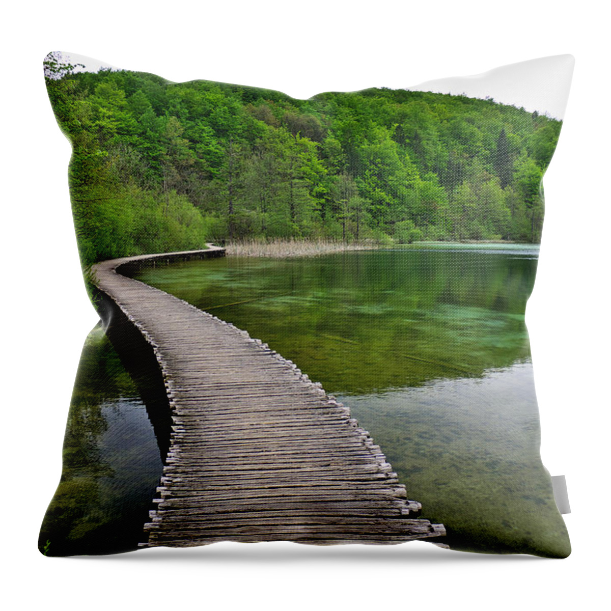 Adventure Throw Pillow featuring the photograph Path to... by Ivan Slosar