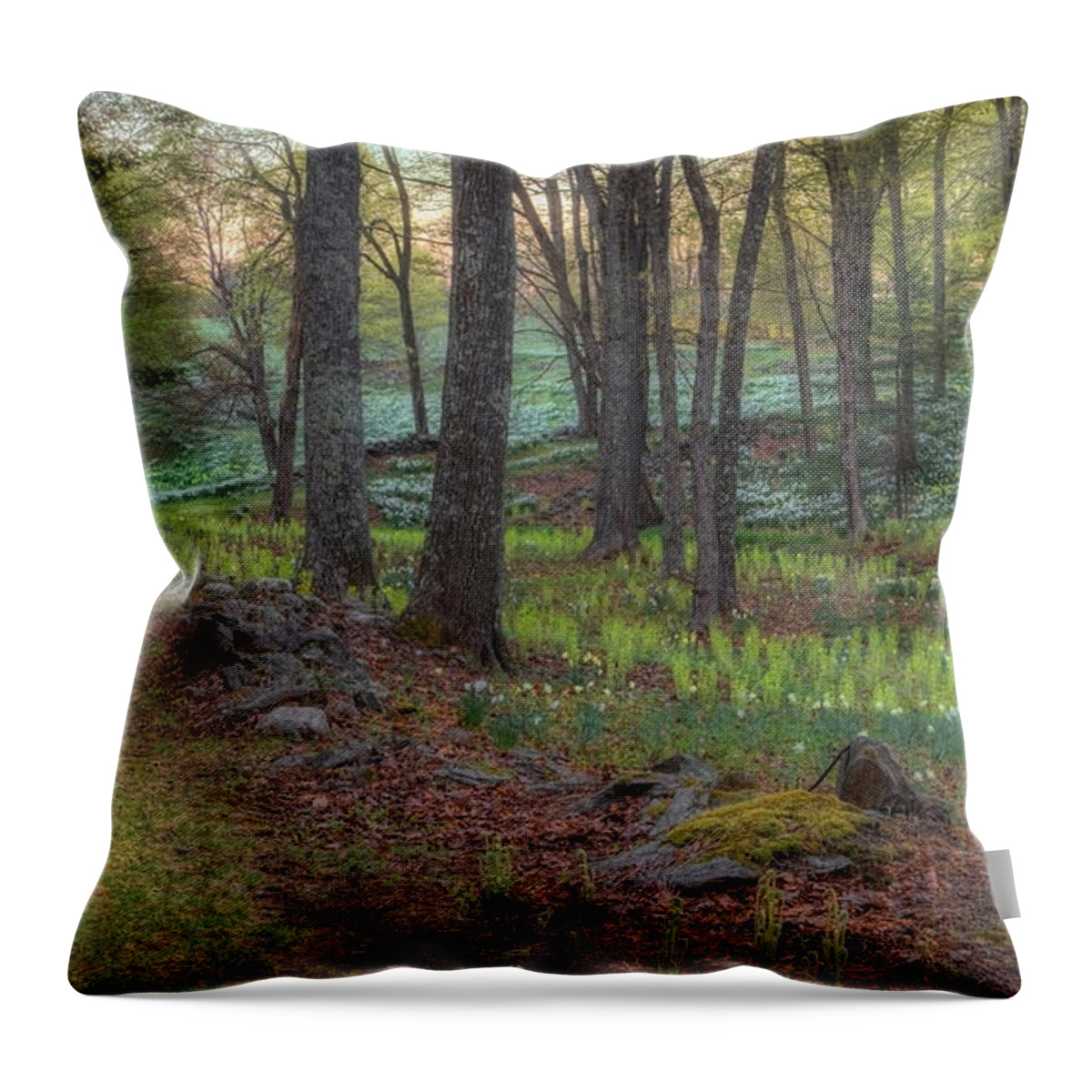Daffodil Throw Pillow featuring the photograph Path to the Daffodils by Bill Wakeley