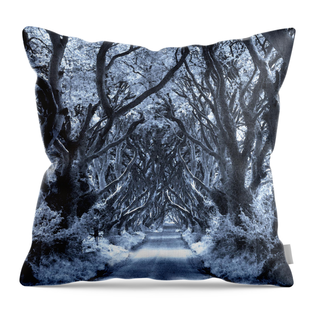 Tree Tunnel Throw Pillow featuring the digital art Path to the Soul by Vicki Lea Eggen