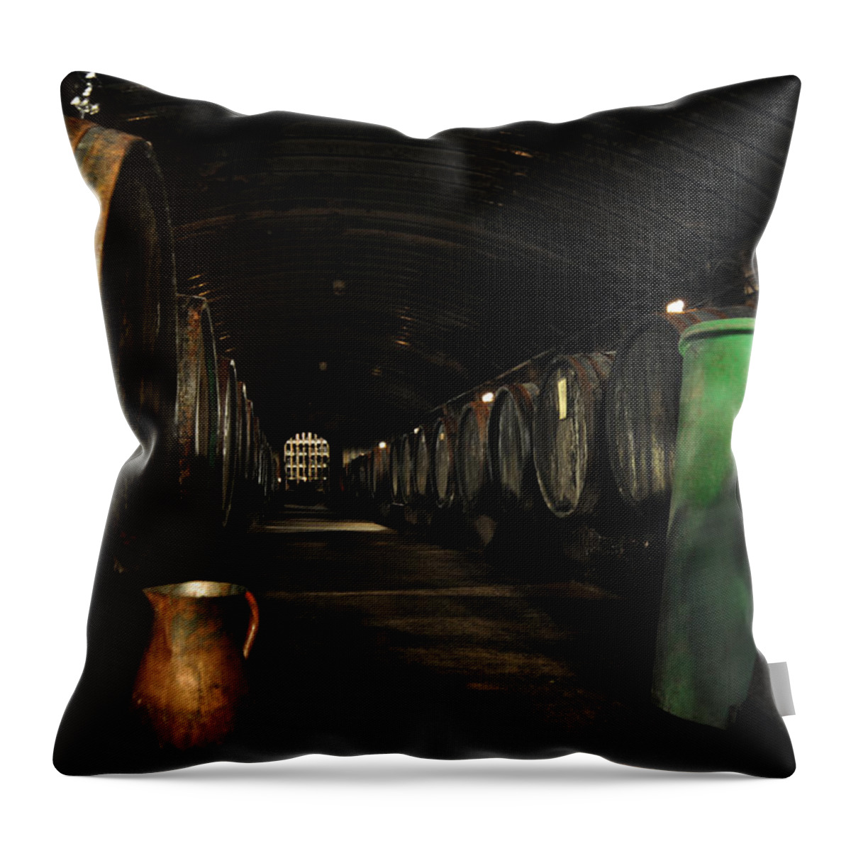 Germany Throw Pillow featuring the photograph Patience Rewarded by Richard Gehlbach